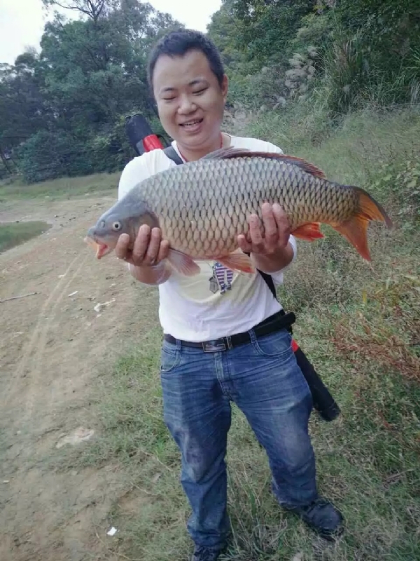 迷路的男人的第一张照片--靖州中老年相亲网